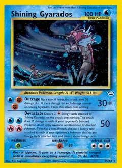 Shining Gyarados Secret 65