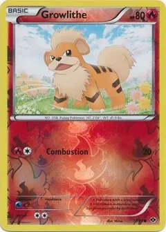 Growlithe Reverse Holo 11