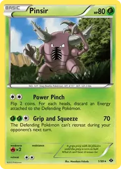 Pinsir 1