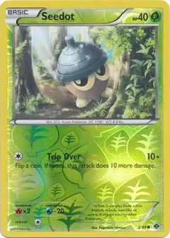 Seedot Reverse Holo 2