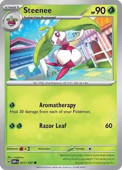 Steenee 017