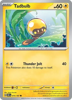 Tadbulb 075