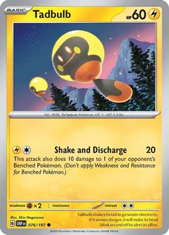 Tadbulb 076