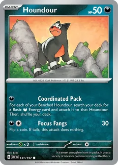 Houndour 131