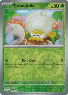 Tarountula Reverse Holo 016