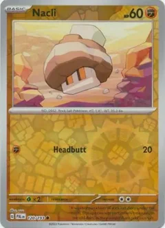 Nacli Reverse Holo 120