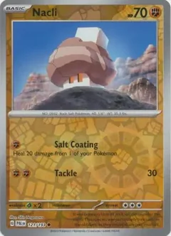 Nacli Reverse Holo 121