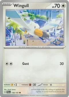 Wingull 158