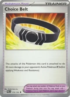Choice Belt 176