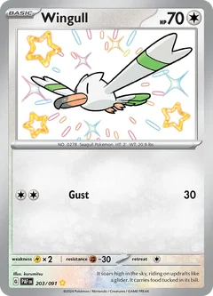 Wingull 203