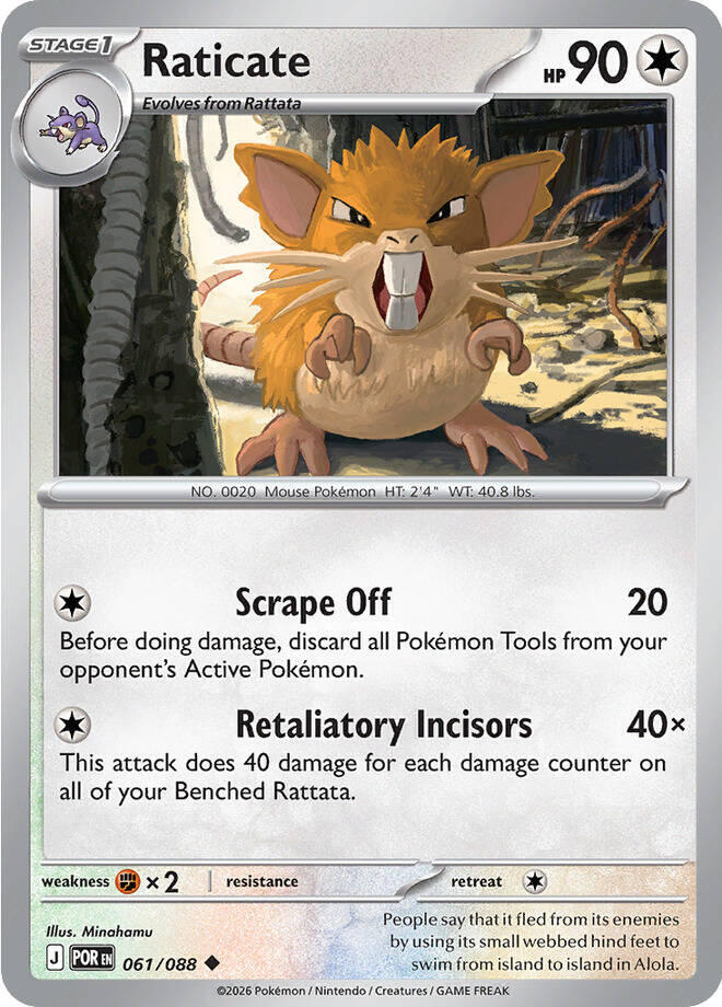 Raticate Reverse Holofoil