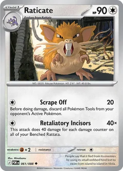 Raticate Reverse Holofoil 61