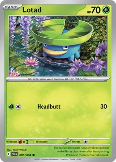 Lotad 005