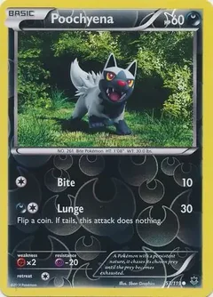 Poochyena Reverse Holo 53