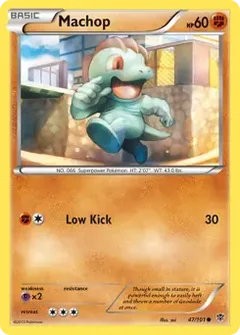 Machop 47