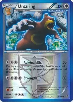 Ursaring Reverse Holo 76