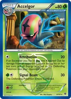 Accelgor 8
