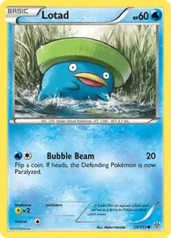 Lotad 29