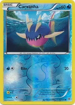 Carvanha Reverse Holo 32