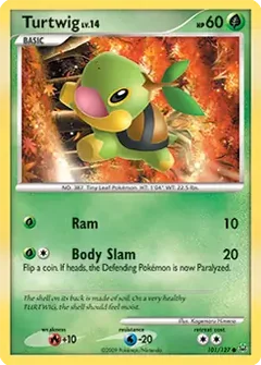 Turtwig 101