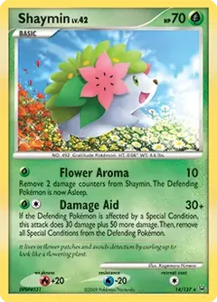 Shaymin Holo 14