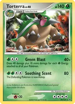 Torterra 39