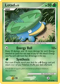 Lotad 81