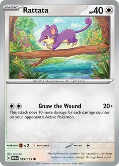 Rattata 019