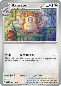 Raticate 020