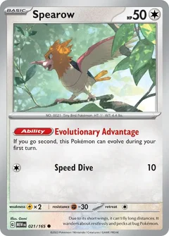 Spearow 021