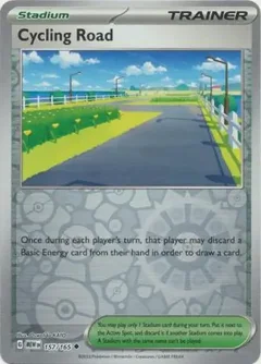 Cycling Road Reverse Holo 157