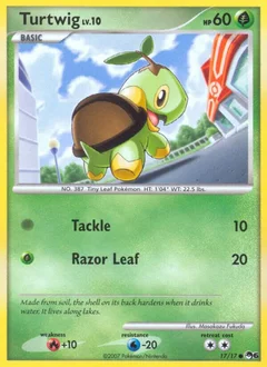 Turtwig Holofoil 17