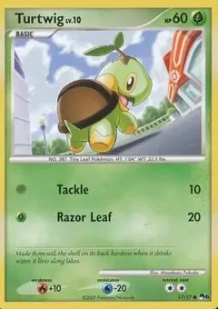 Turtwig 17