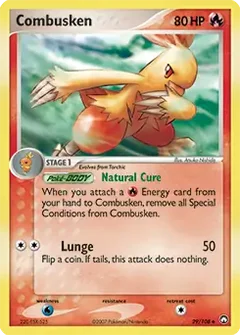 Combusken 29