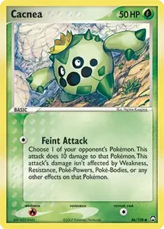 Cacnea 46