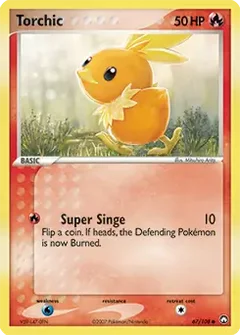 Torchic 67