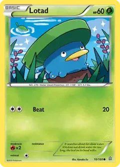 Lotad 10