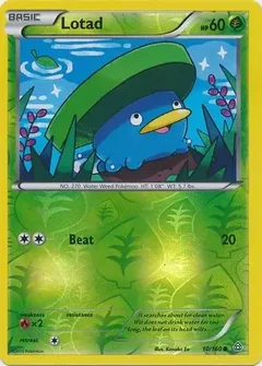 Lotad Reverse Holo 10