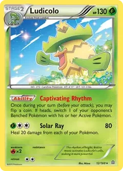 Ludicolo 12