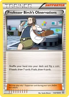 Professor Birch's Observations 134
