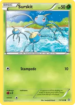 Surskit 13
