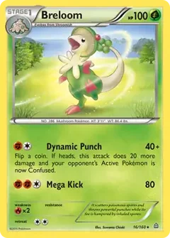 Breloom 16