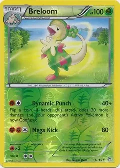 Breloom Reverse Holo 16