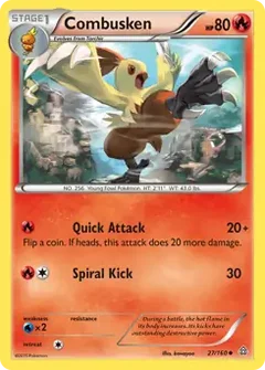 Combusken 27