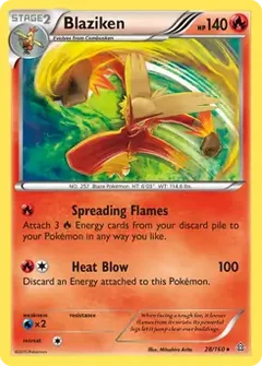 Blaziken Holo 28