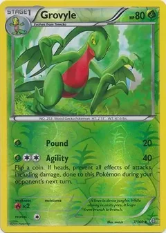 Grovyle Reverse Holo 7