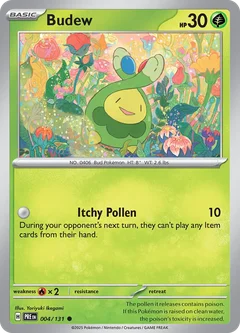 Budew 004