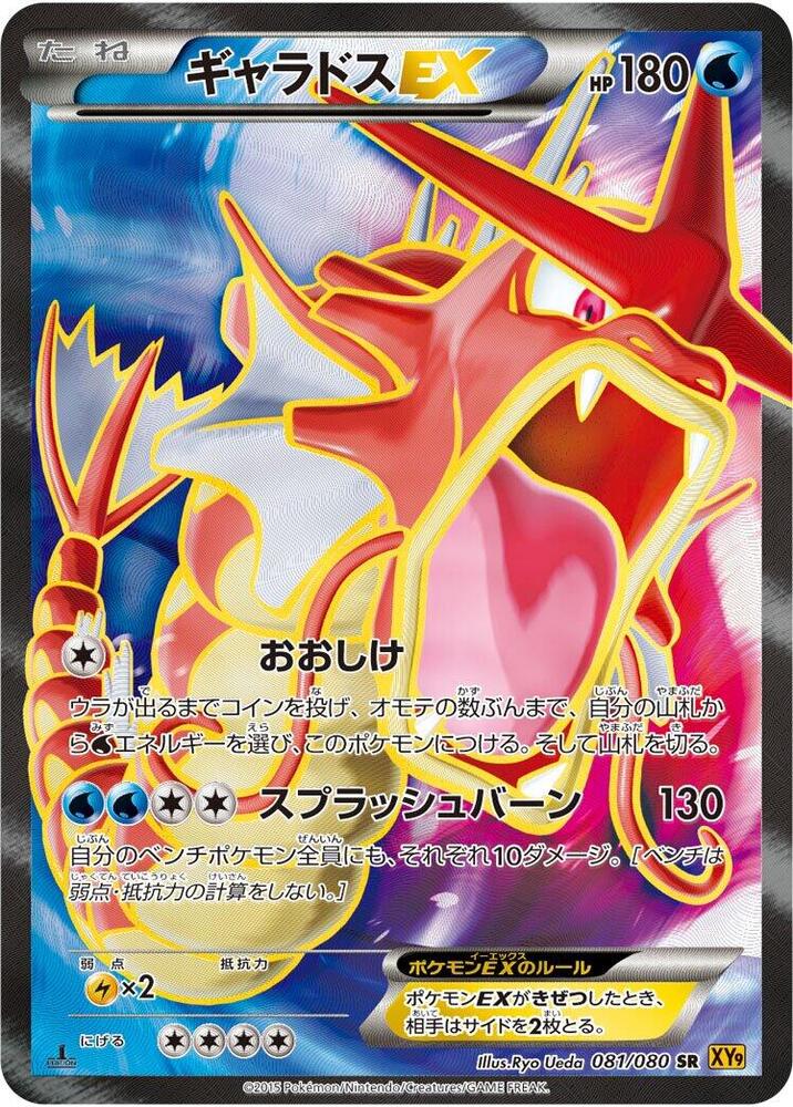 Gyarados EX Unlimited Holofoil, Rage of the Broken Heavens #81 Pokémon card