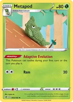 Metapod 002