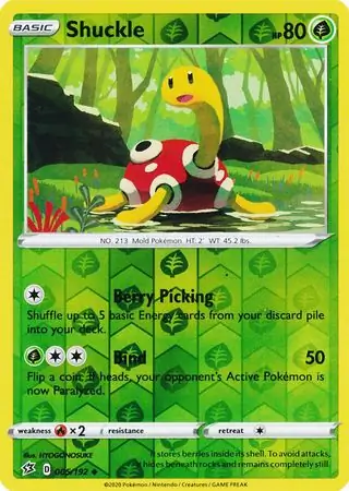 Shuckle Reverse Holo